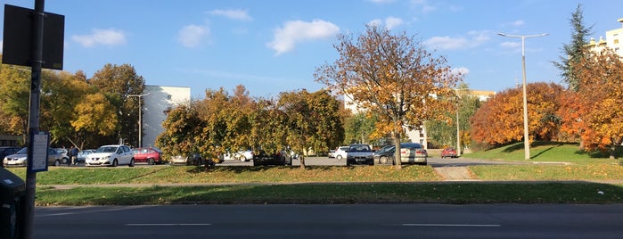 Szőnyi Ottó utca, rendelő (4, 4Y, 20, 104, 120) is one of Uránváros.