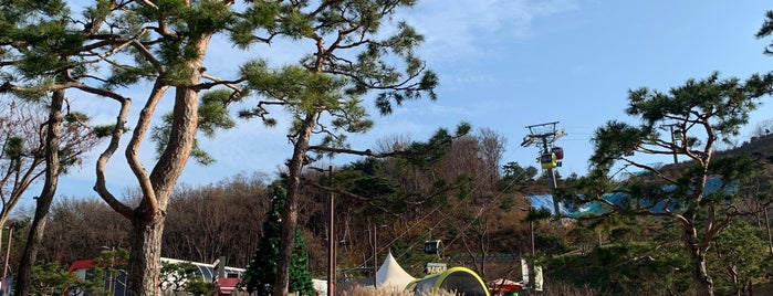 강화루지 is one of To-Visit (Gangwha).