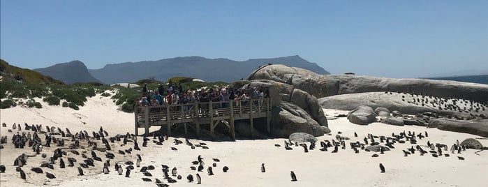 Boulders Beach Penguin Colony is one of Locais curtidos por Amby.