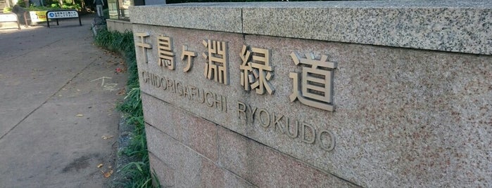 Chidorigafuchi Ryokudo is one of Lieux qui ont plu à fuji.