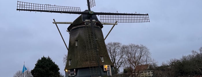Riekermolen is one of Amsterdam 2018.