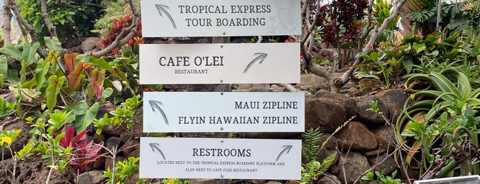Maui Tropical Plantation is one of Места Мауи.