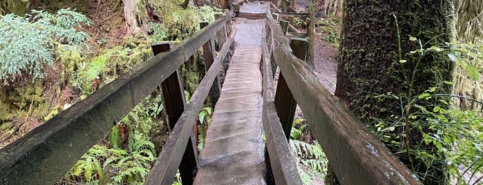 Marymere Falls Trail is one of Tempat yang Disukai Mike.