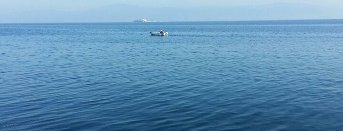 Mudanya-Kanal is one of Locais curtidos por Gözde.