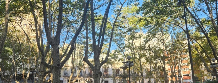 Plaza Matriz is one of Montevideo.