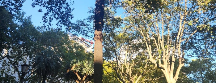 Plaza de Cagancha is one of Montevideo e Colonia.