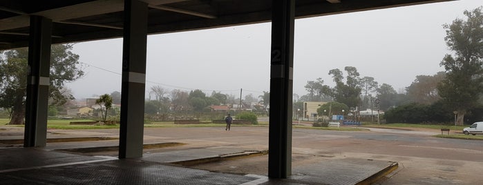 Terminal de Piriápolis is one of Piripolis y Punta Del Este Full Day Tour.