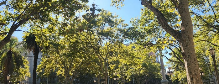 Plaza de Cagancha is one of Montevideu.