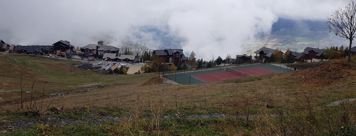 Vallandry is one of Les 200 principales stations de Ski françaises.