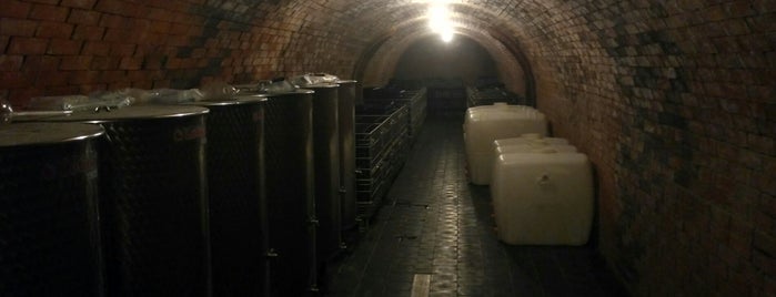 Vinný sklep u Kořénků is one of Lugares favoritos de Daniel.