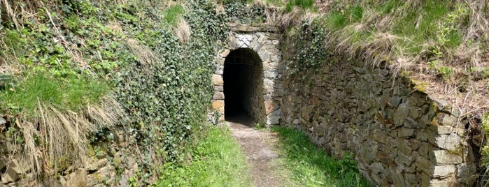 Štola Halíře is one of Doly, lomy, jeskyně (CZ).
