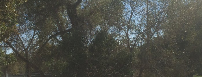 Julia deKoevend Park is one of Parks in the Denver Metro.