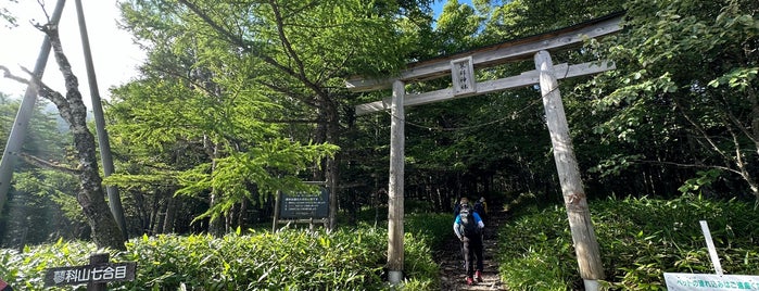 蓼科山七合目登山口 is one of 日本の🗻ちゃん(⌒▽⌒).