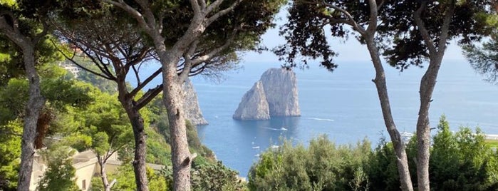 Ristorante Il Geranio di Gaeta Lucio & C. Sas is one of Capri.