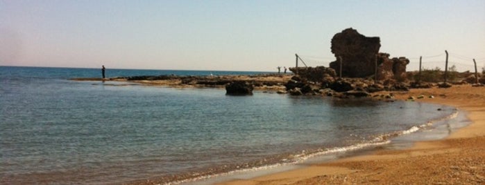 Yakamoz Beach is one of Antalya Etiket Bonus Mekanları 🌴🍁🍃.