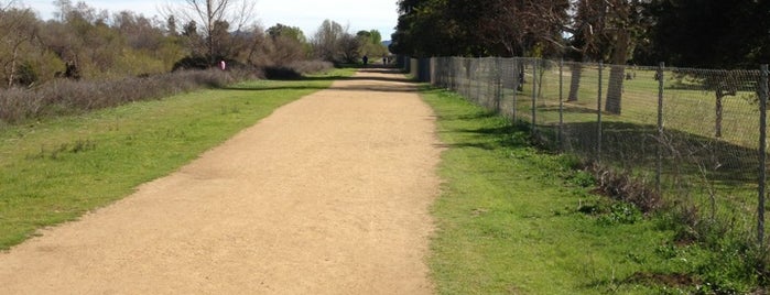 Lake Balboa Running Trails is one of Best Things to do in Encino on a Sunny Day.