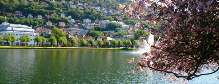 Festplassen is one of Bergen.