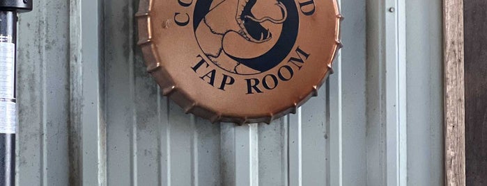 Copperhead Brewery is one of Houston Metro Breweries.