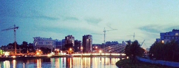 Большой Крестовский мост is one of Мосты Петербурга.