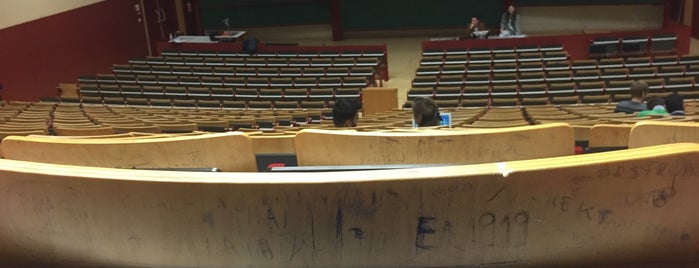 Auditorium 1 is one of School.