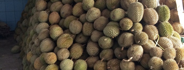 Rajawali Durian is one of please try ^_^.
