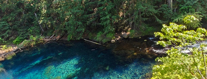 Blue Pool (Tamolitch) is one of PNW.