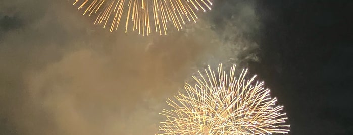 Naniwa Yodogawa Fireworks Festival is one of ぎゅ↪︎ん 🐾🦁 님이 좋아한 장소.