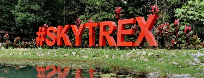 Skytrex Adventure Park is one of Top 10: Pump Up Your Adrenaline! (KL/Selangor).