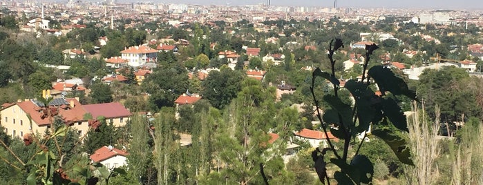 Seyir Terası is one of Lugares favoritos de Gülveren.