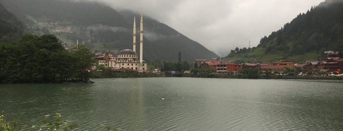 Uzungöl is one of สถานที่ที่ Gülveren ถูกใจ.