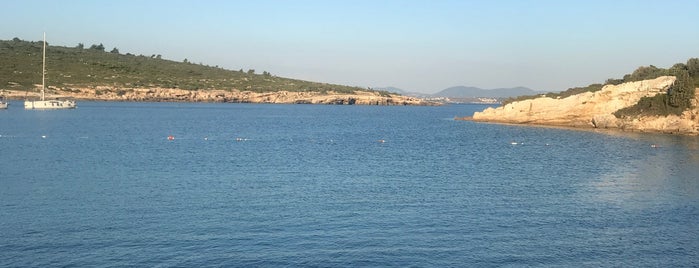 Deniz Yıldızı is one of İzmir - Deniz, Kum, Güneş.