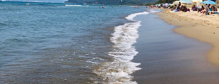 Spiaggia Punta Ala is one of Lerici.
