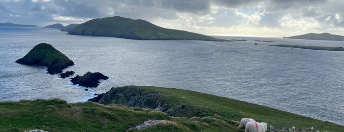 Dunmore Head is one of Go back to explore: Ireland.