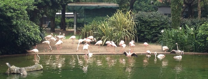 Kowloon Park is one of Hong Kong.