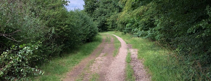 Woolwich Common is one of BR.