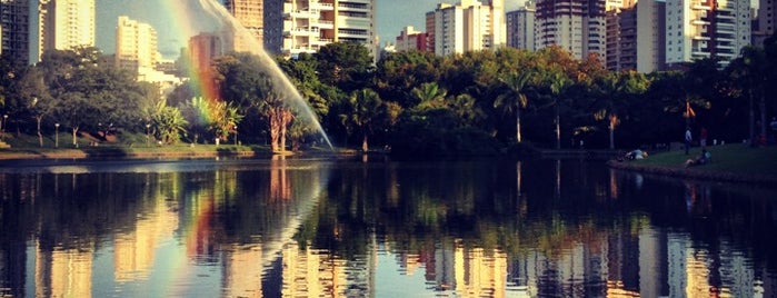 Parque Vaca Brava is one of Tempat yang Disukai Lucas.