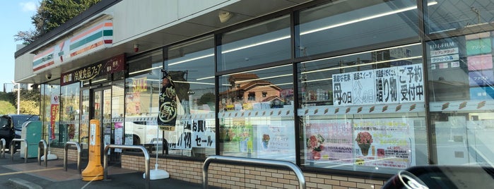 セブンイレブン 奈良針インター店 is one of コンビニ.