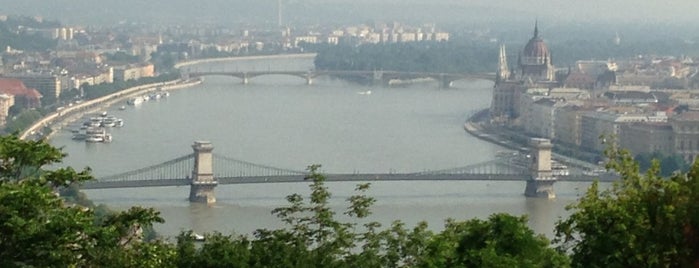 Danube is one of My Bratislava.