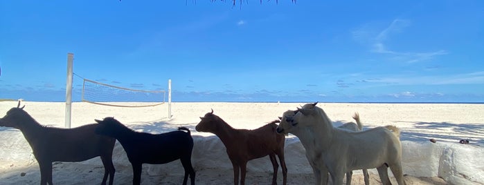 Pinewood Beach Resort is one of Fun spots in Mombasa.