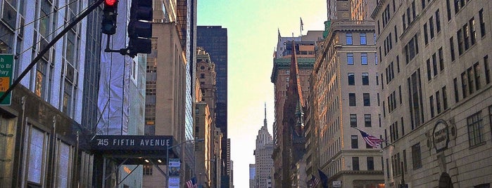5th Avenue is one of New York City.