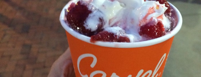 Carvel Ice Cream is one of USA 2.