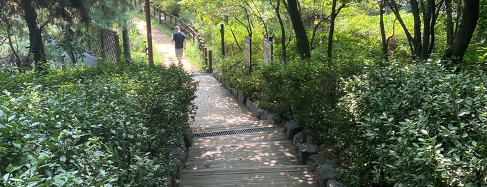 달터공원 is one of 서울의 크고 작은 공원들.