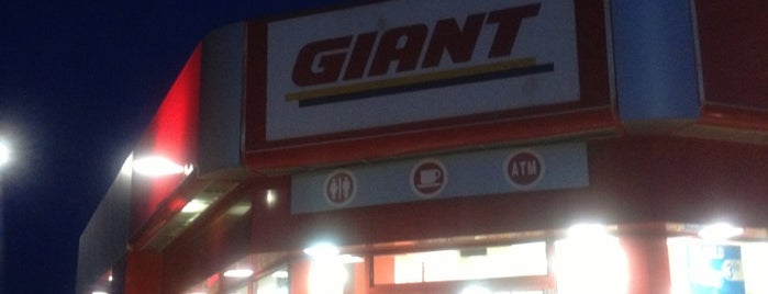 Giant is one of Joshさんのお気に入りスポット.