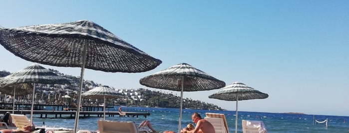 Tilkicik Koyu is one of Bodrum.