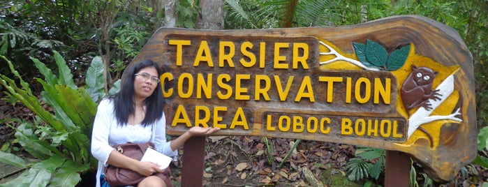Tarsier Conservation Area is one of adventure.