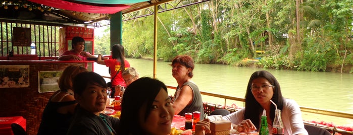 Loboc River Cruise is one of adventure.