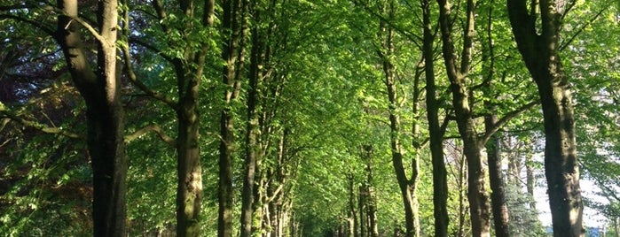 Park Brakkenstein is one of I know this great little place in Nijmegen....