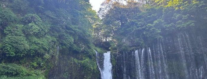 Shiraito Falls is one of 「どうする家康」ゆかりのスポット.