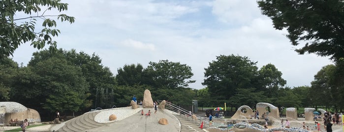 Toneri Park is one of 子供と遊ぶ公園（夏）.