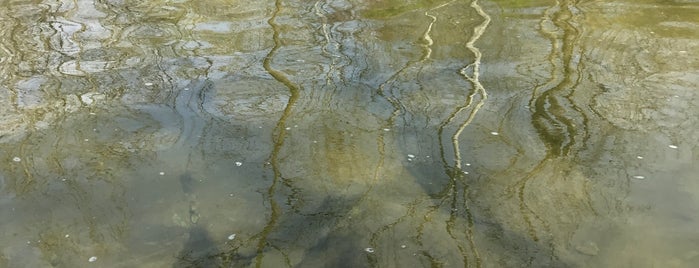 Gunpowder Creek Nature Park is one of Gunpowder Creek Watershed Access Points.